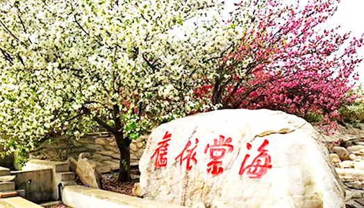 太阳城官网(中国)集团有限公司