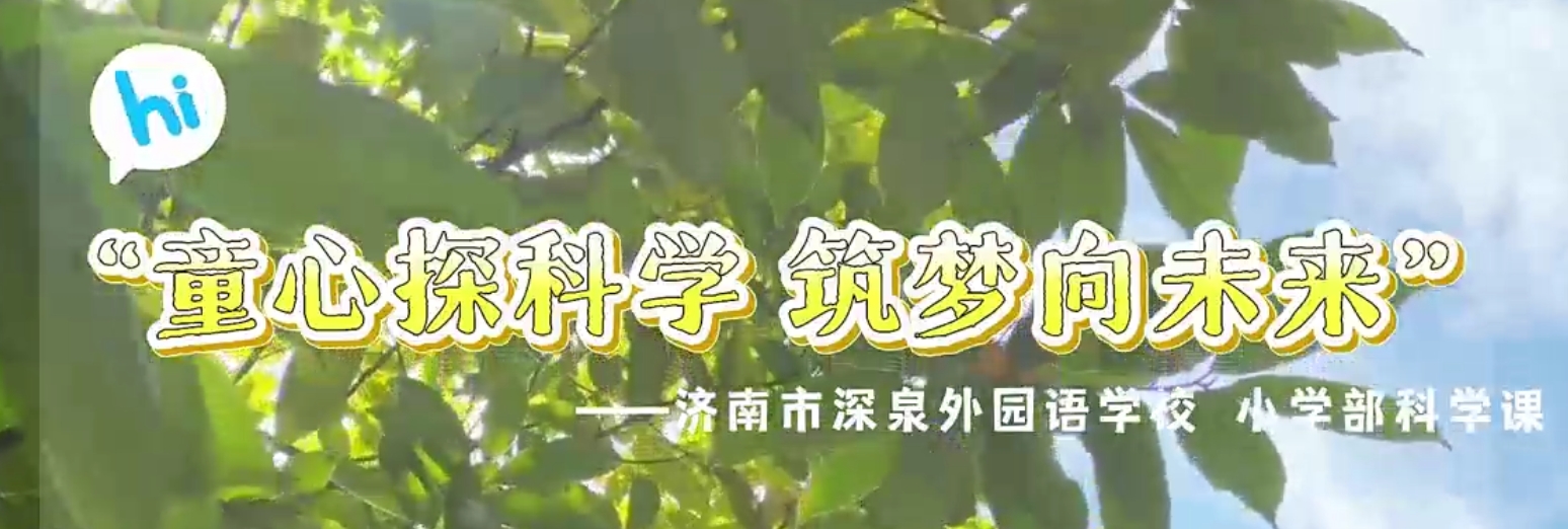 太阳城官网(中国)集团有限公司