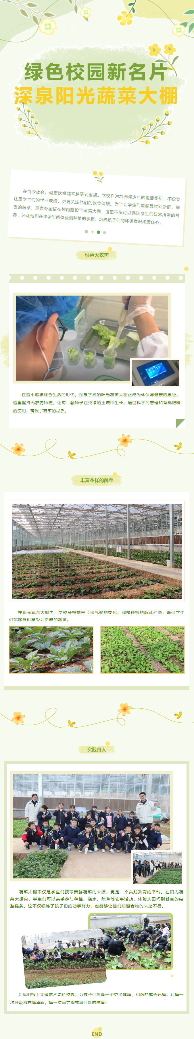 太阳城官网(中国)集团有限公司