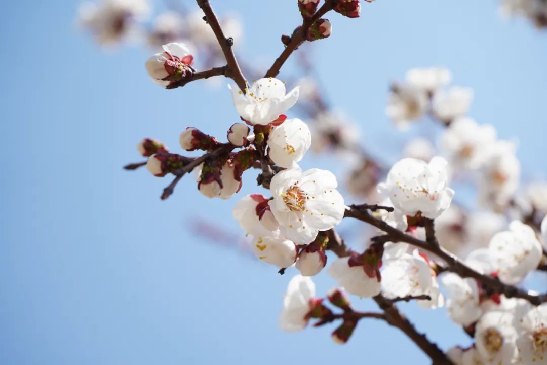 太阳城官网(中国)集团有限公司