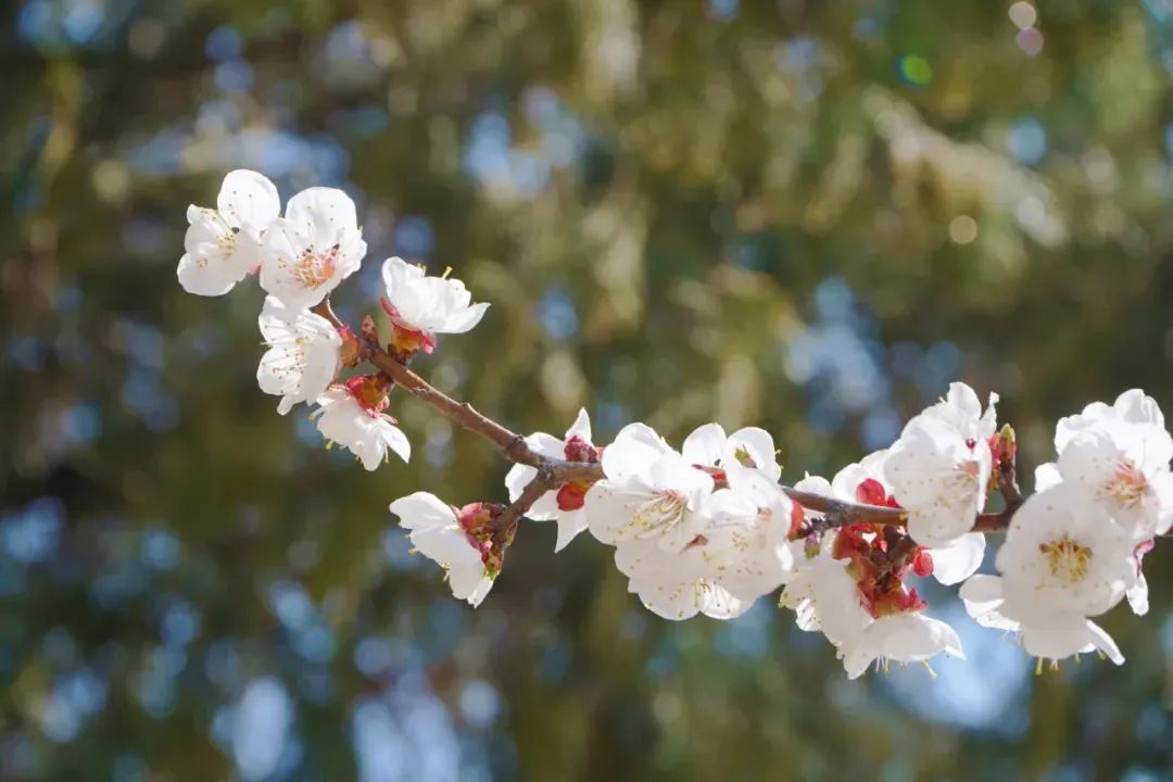太阳城官网(中国)集团有限公司
