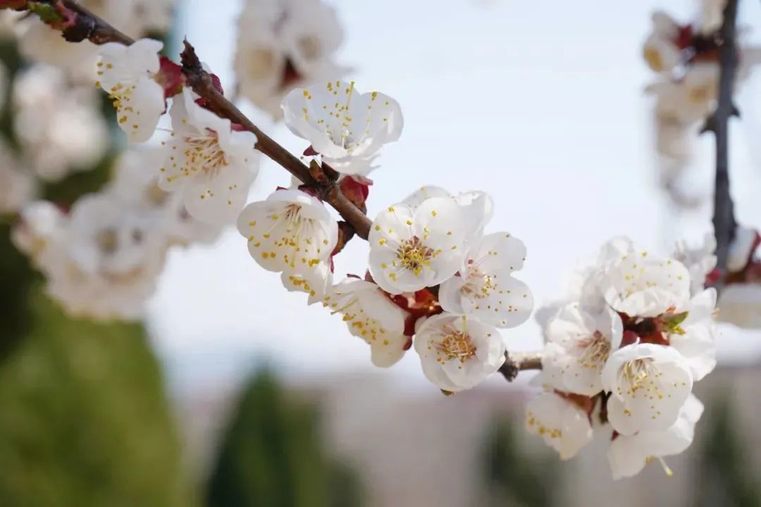 太阳城官网(中国)集团有限公司