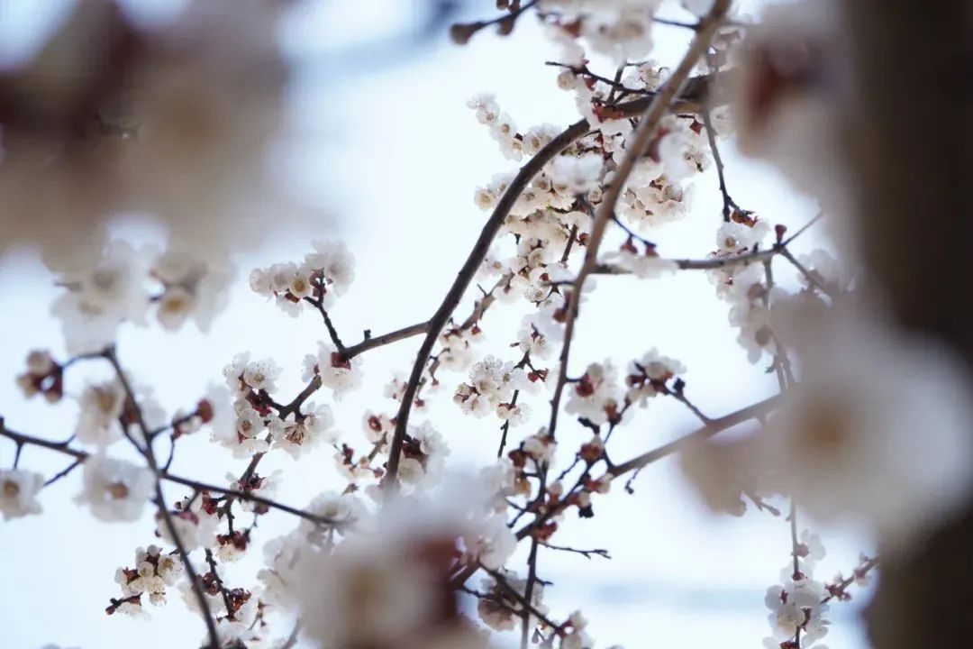 太阳城官网(中国)集团有限公司