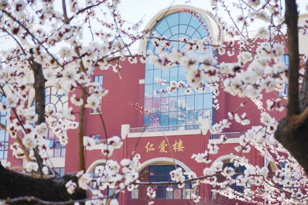 太阳城官网(中国)集团有限公司