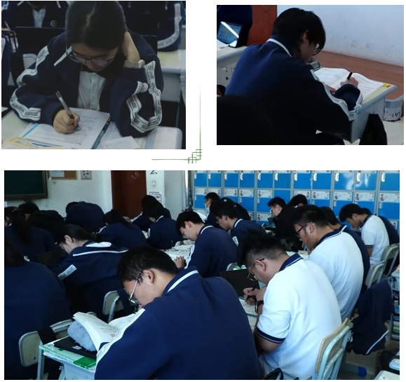 太阳城官网(中国)集团有限公司