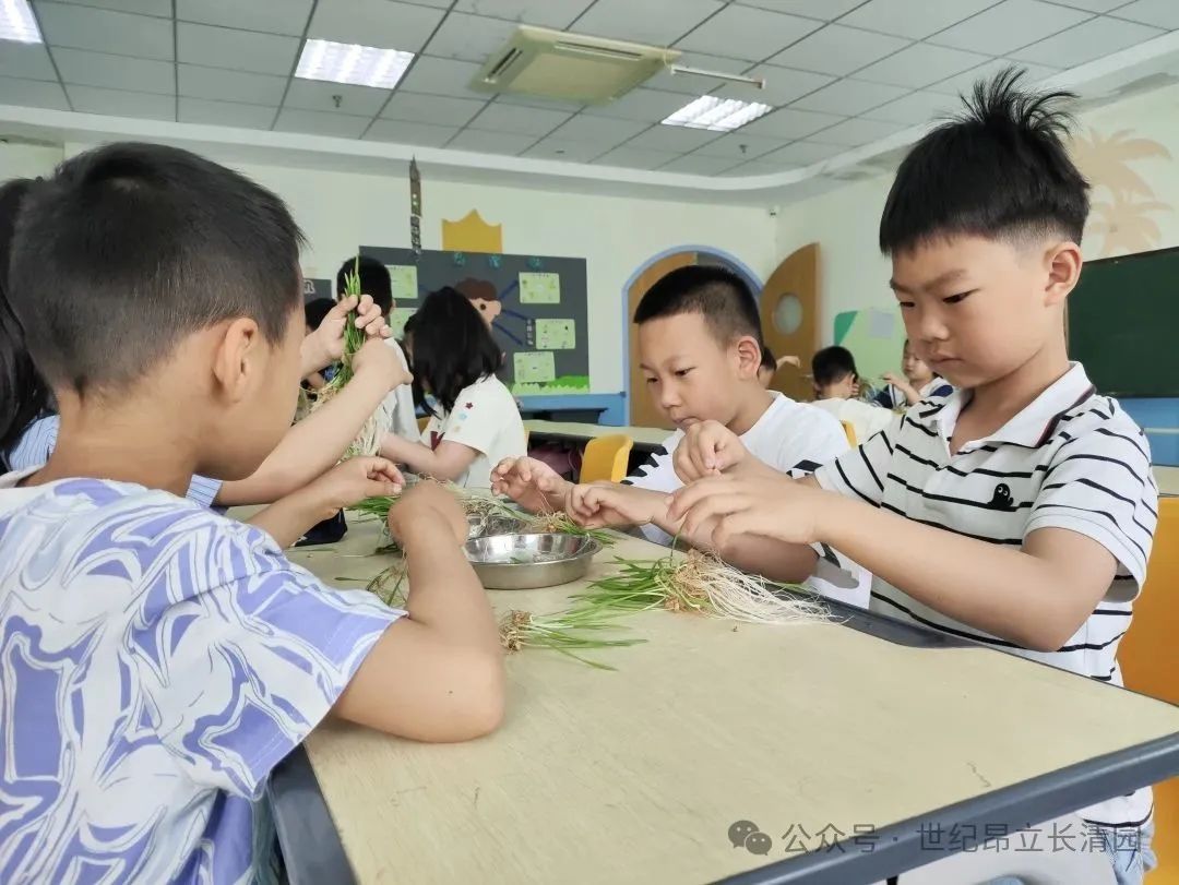 太阳城官网(中国)集团有限公司